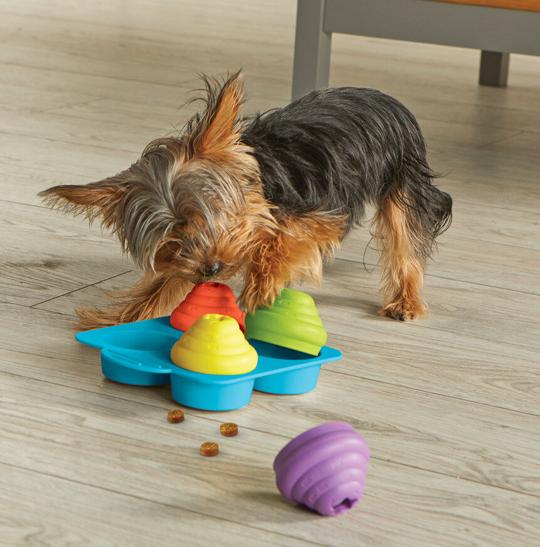 Learning Resources Launches Interactive Pet Toys and Training Tools