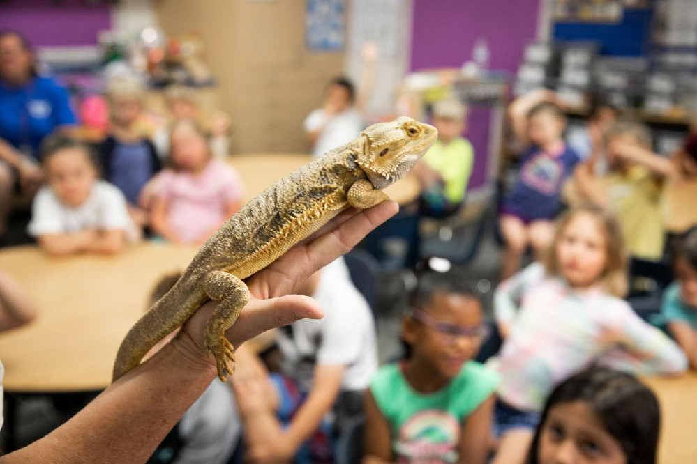 Pets in the Classroom Reports Increase in Grant Applicants for 2022-23 School Year